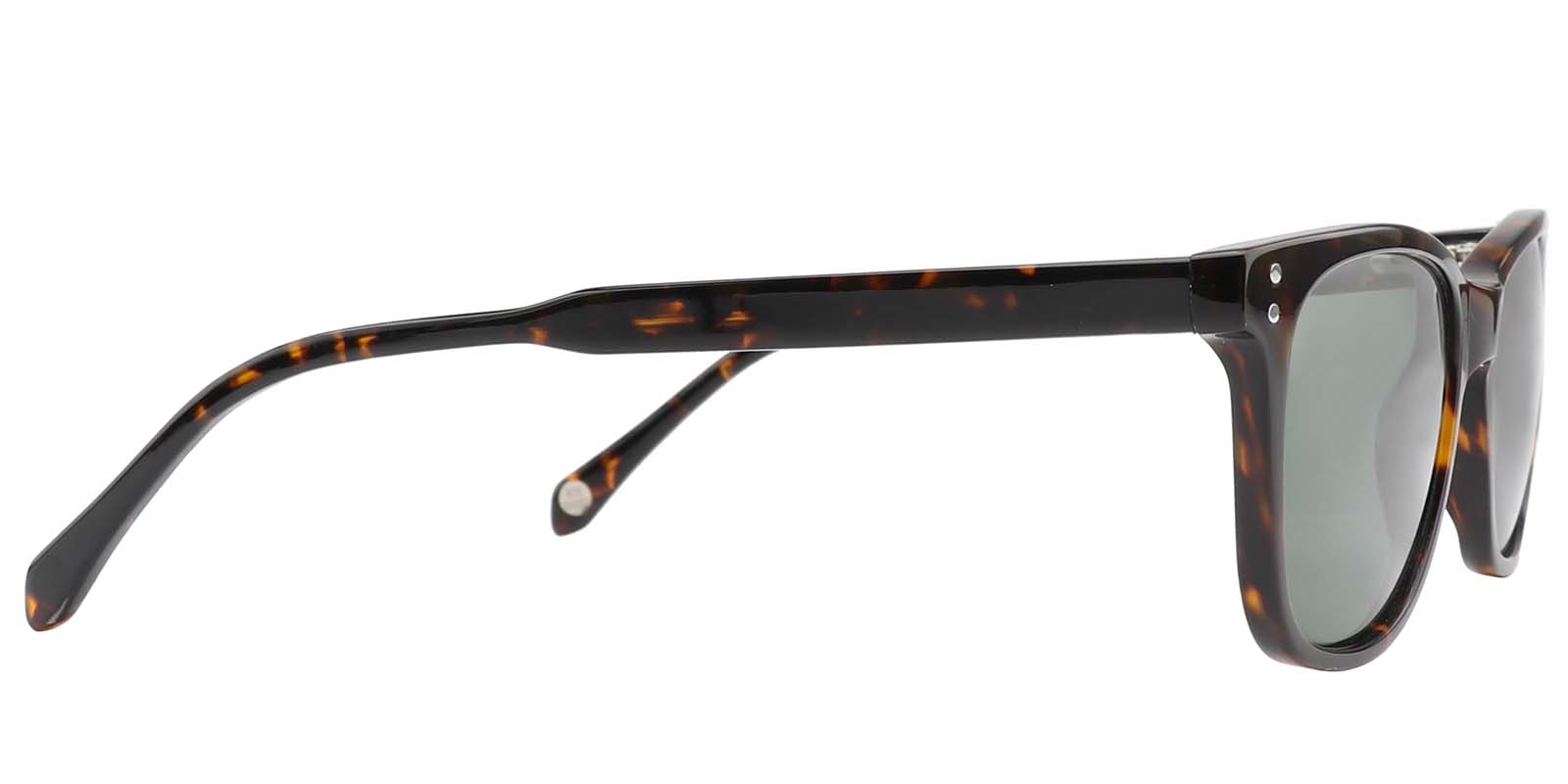 EYE8003S-Grefor-tartaruga