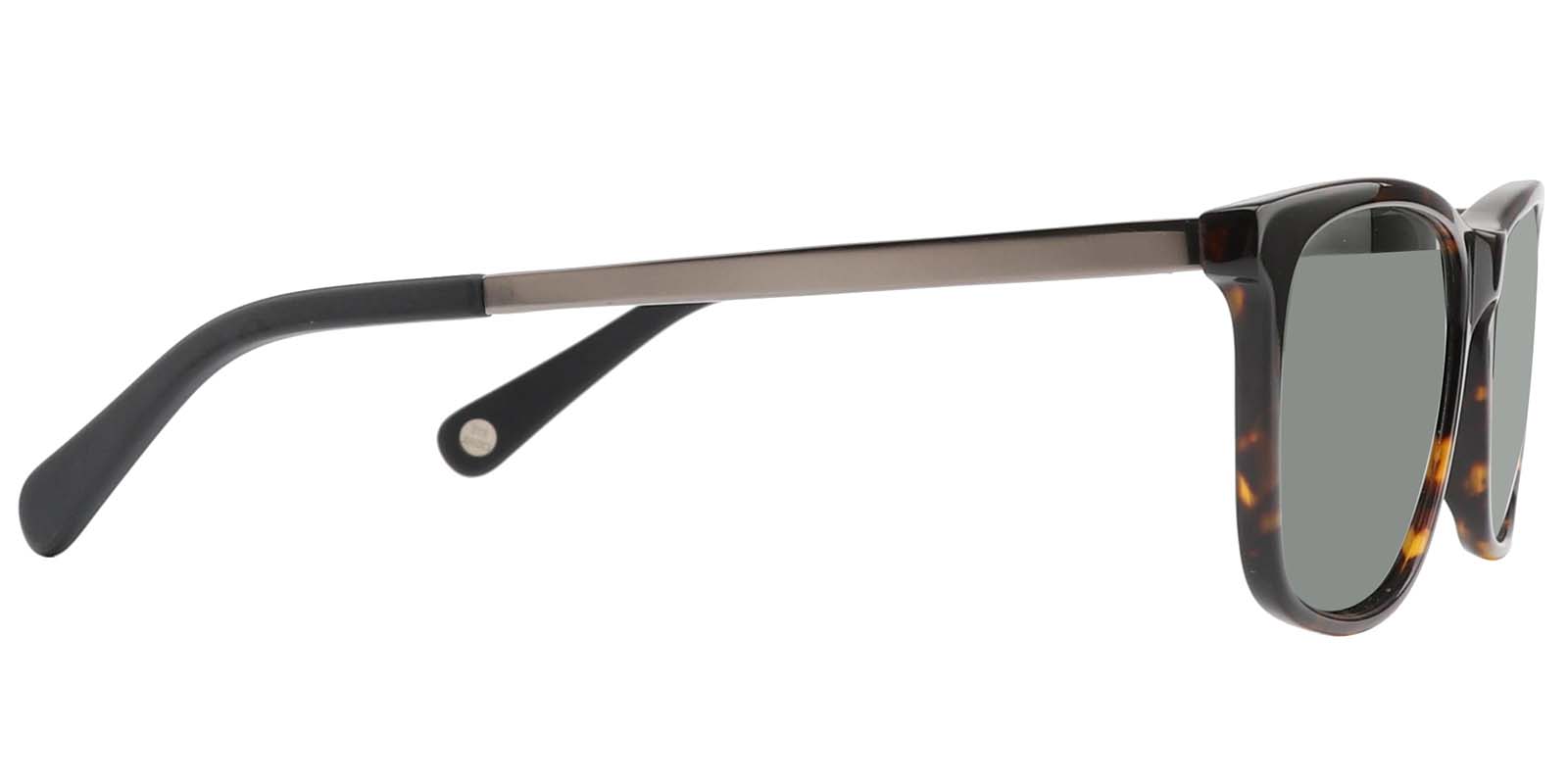 EYE8008S-Matour-tartaruga