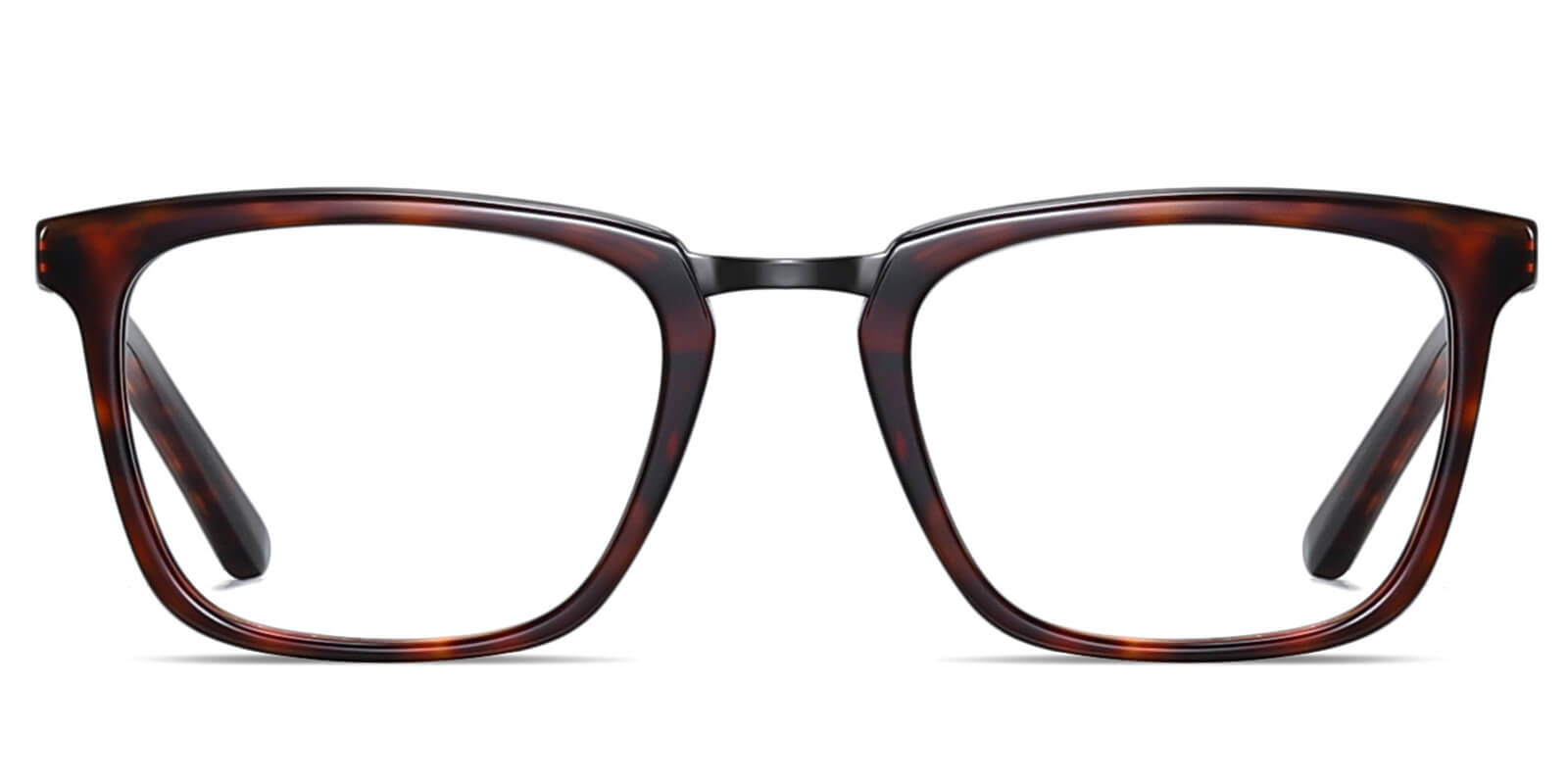 EYE8068-Diven-tartaruga