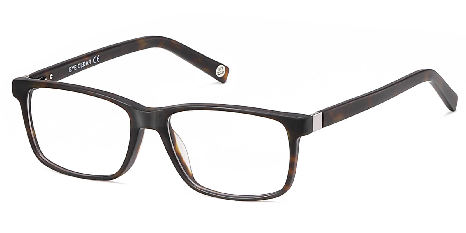 EYE8076-Sttin-tartaruga