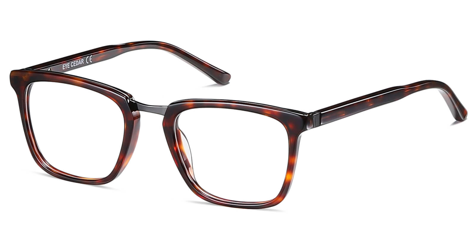 EYE8068-Diven-tartaruga