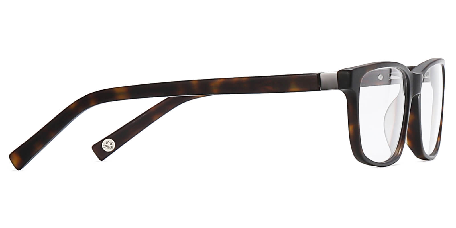 EYE8076-Sttin-tartaruga