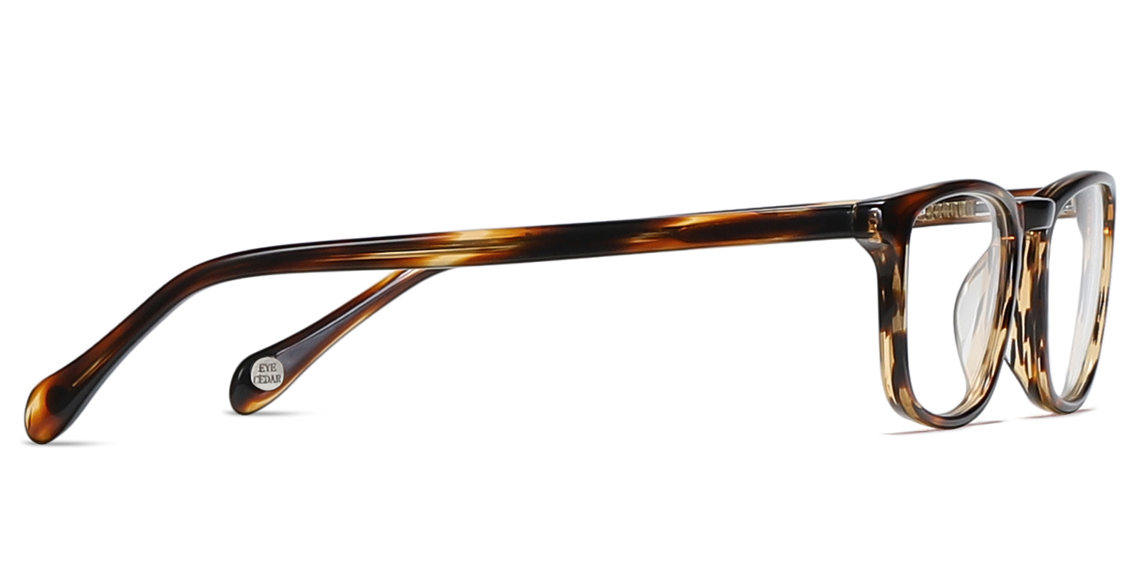 EYE8085-Swarn-tartaruga