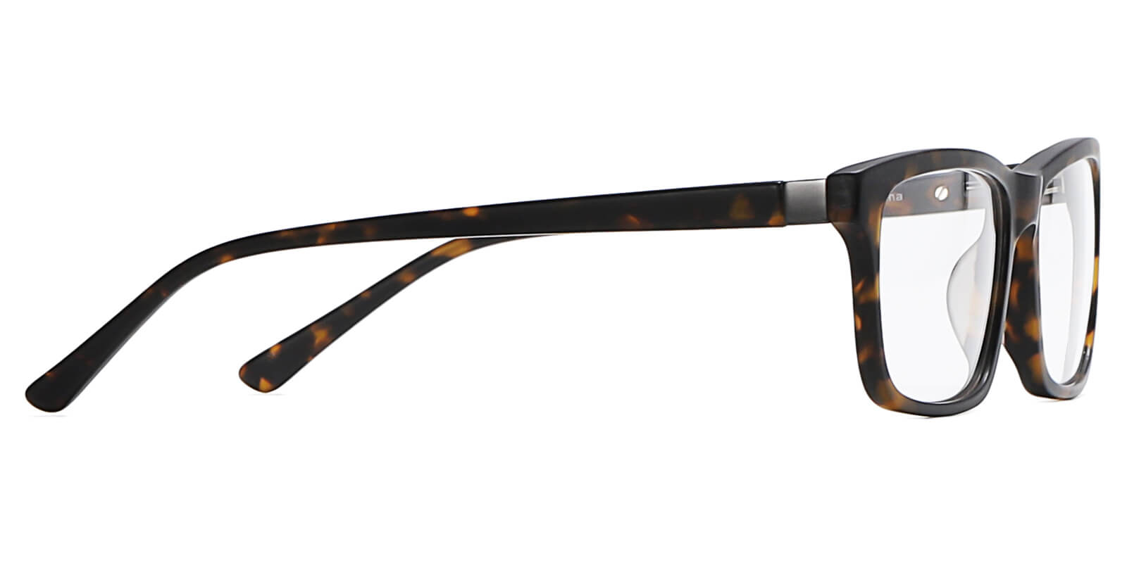 EYE8078-Sunth-tartaruga