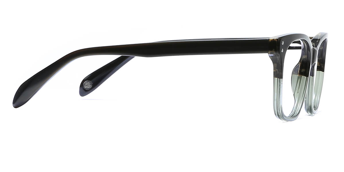 EYE8001-Deegen-gradiente