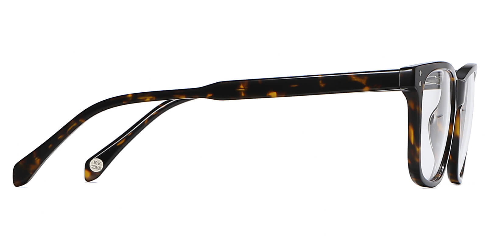 EYE8003-Grefor-tartaruga