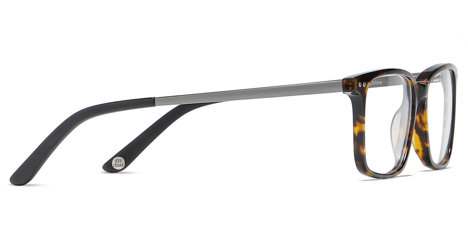 EYE8002-Slends-tartaruga