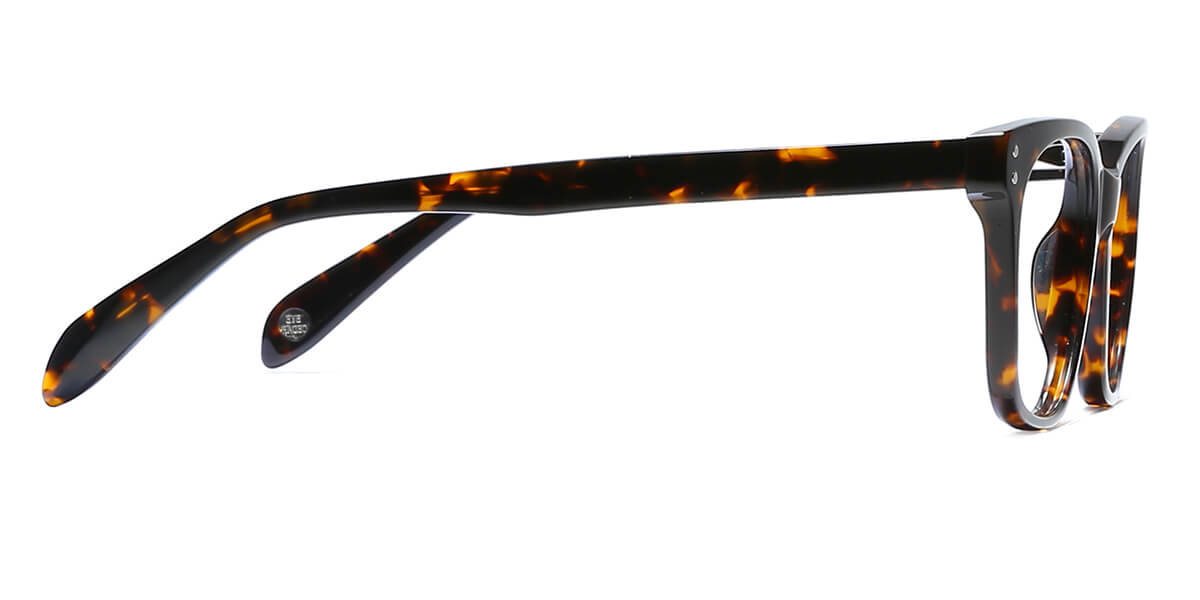 EYE8001-1-Dorian-tartaruga