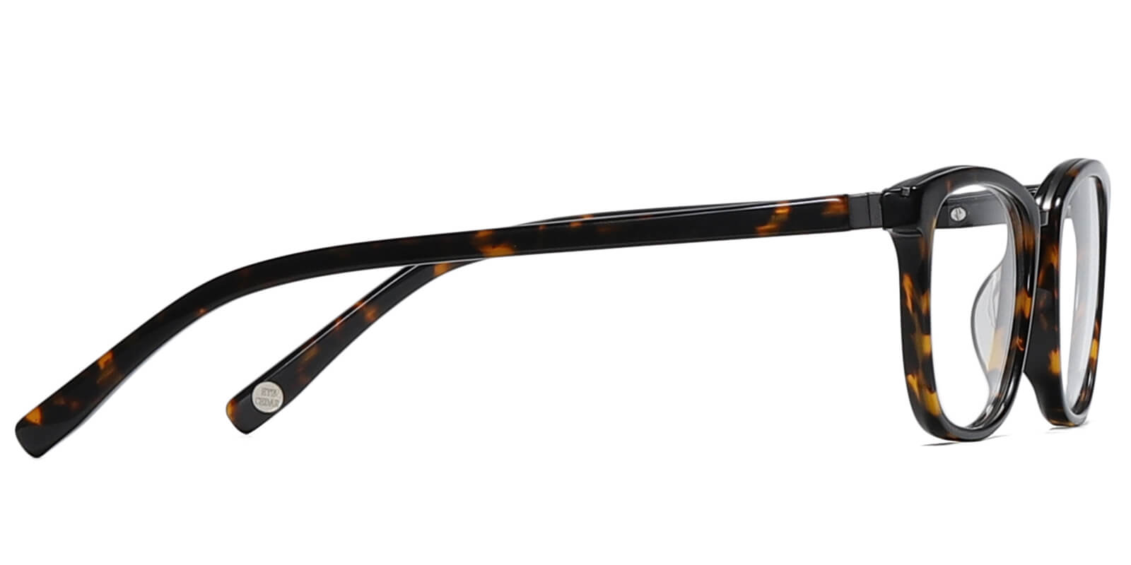 EYE8069-Willcern-tartaruga