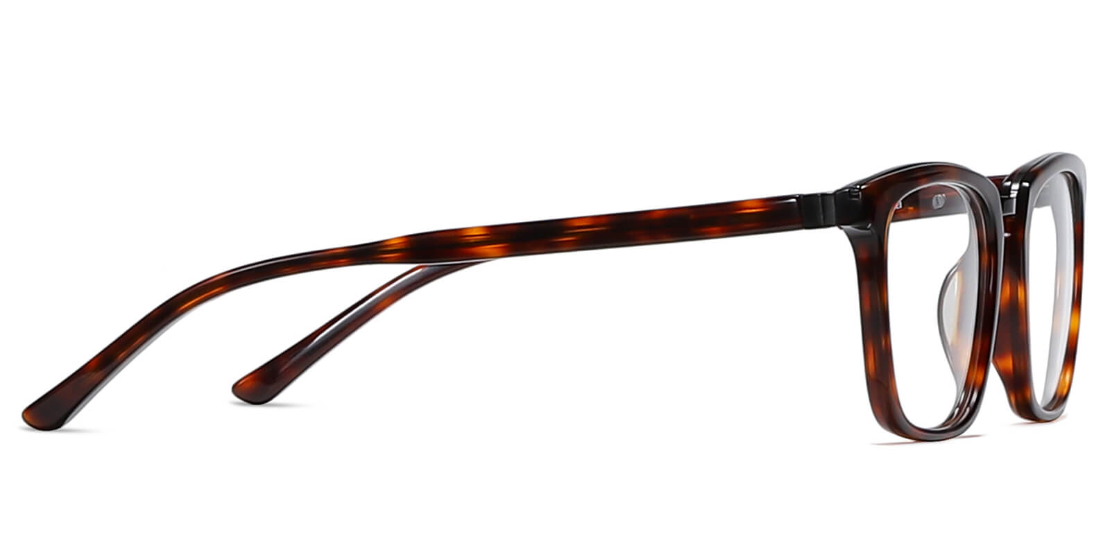 EYE8068-Diven-tartaruga