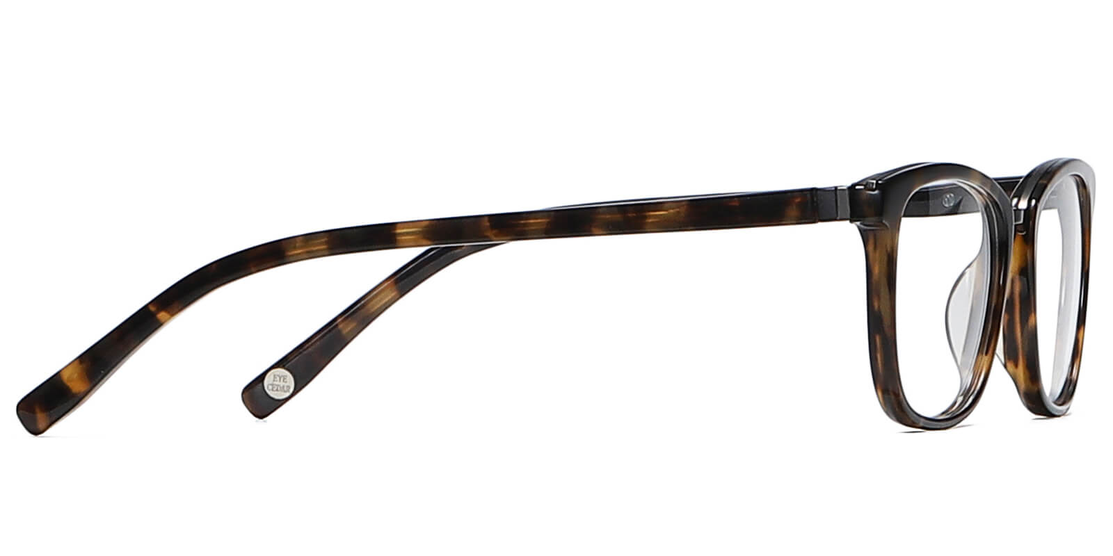 EYE8069-1-Willens-marrone scuro