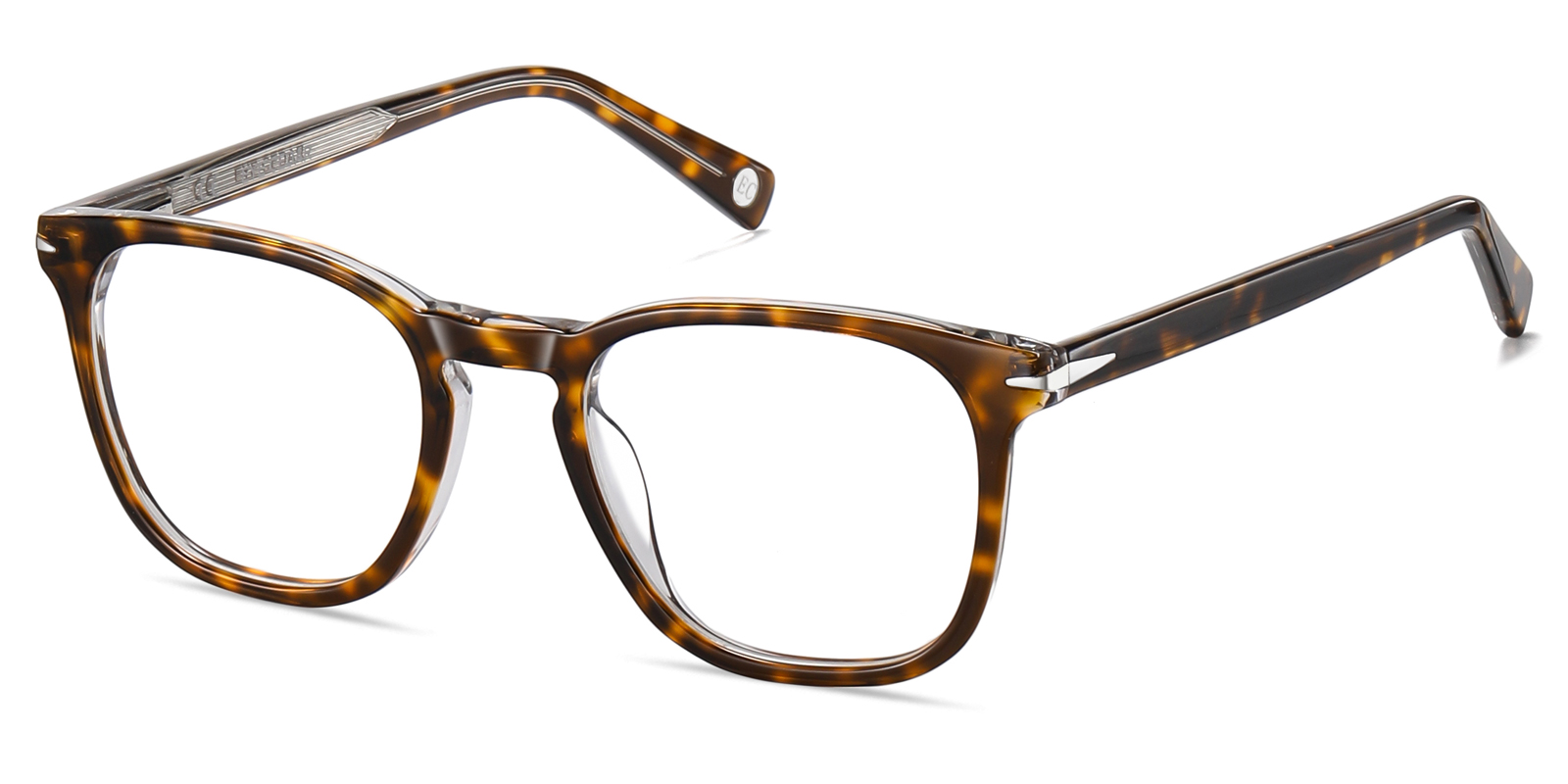 8896TO-Gaise-tartaruga