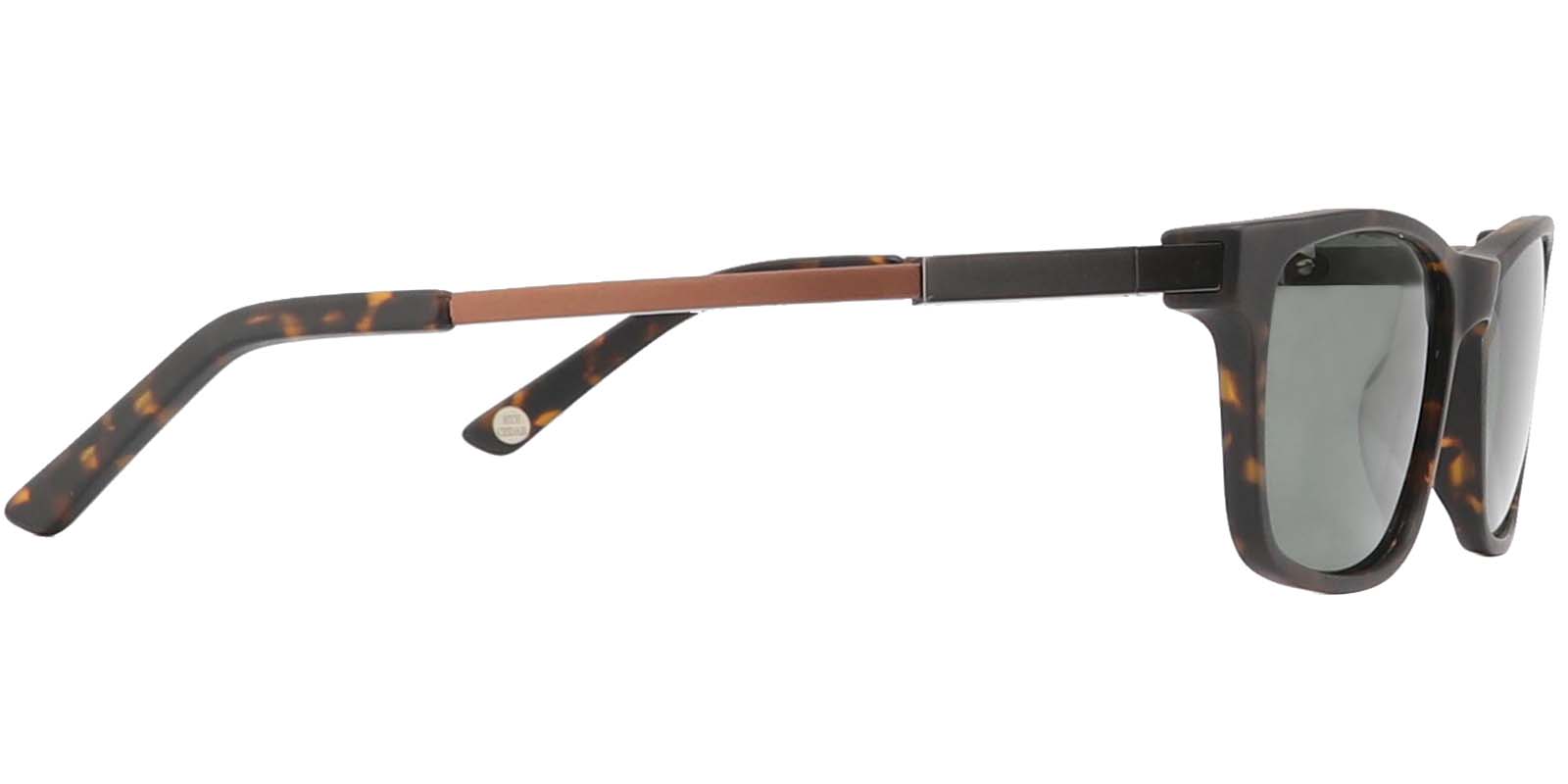 EYE8062S-Bligh-tartaruga