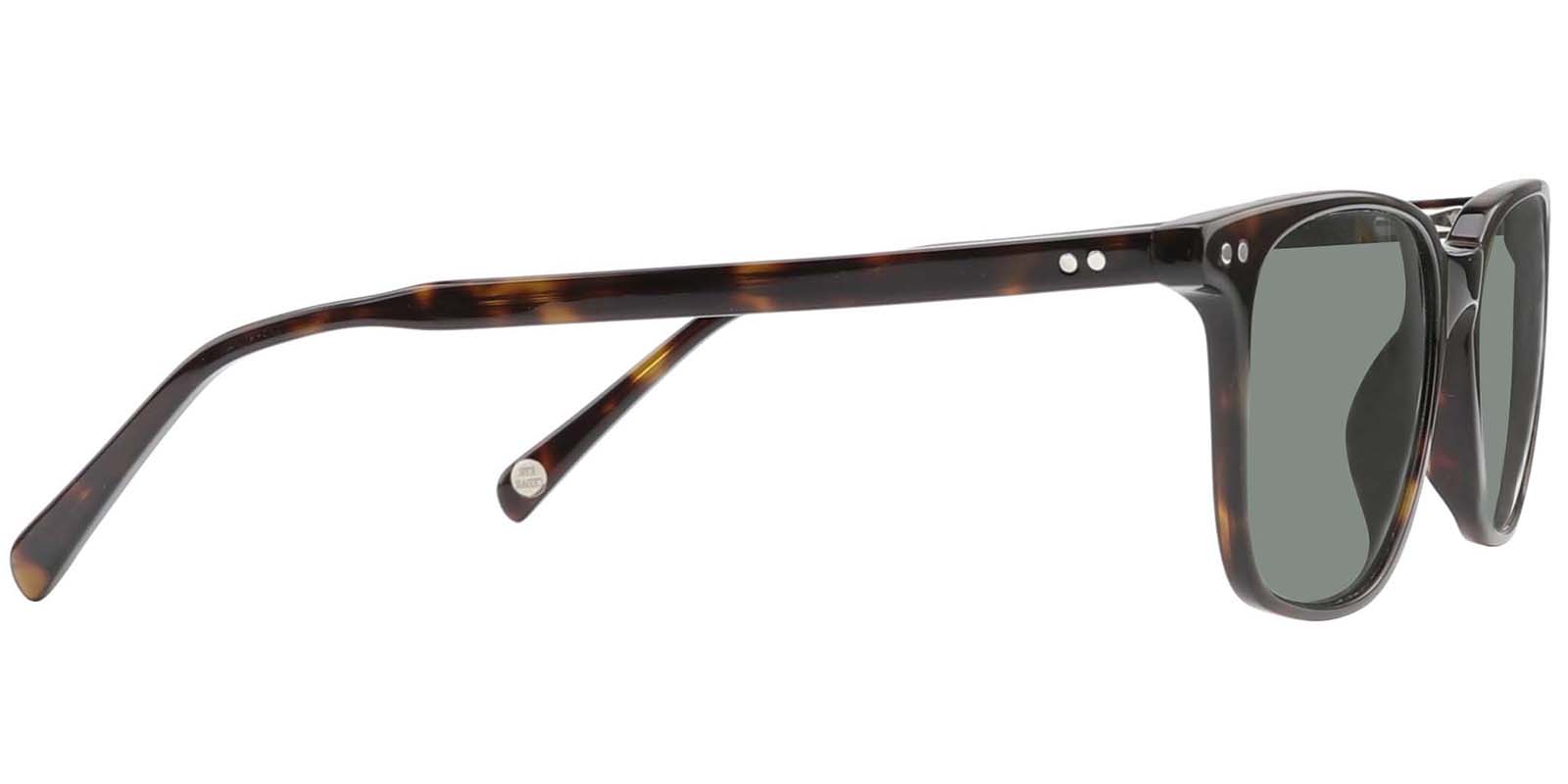 EYE8071S-Noirrin-tartaruga