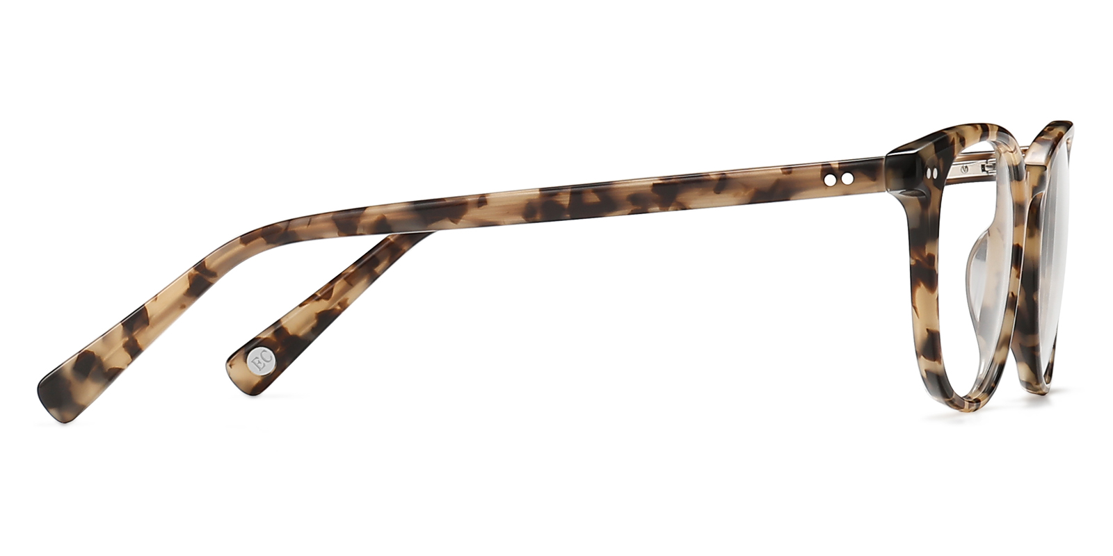 8991TL-Zuter-tartaruga