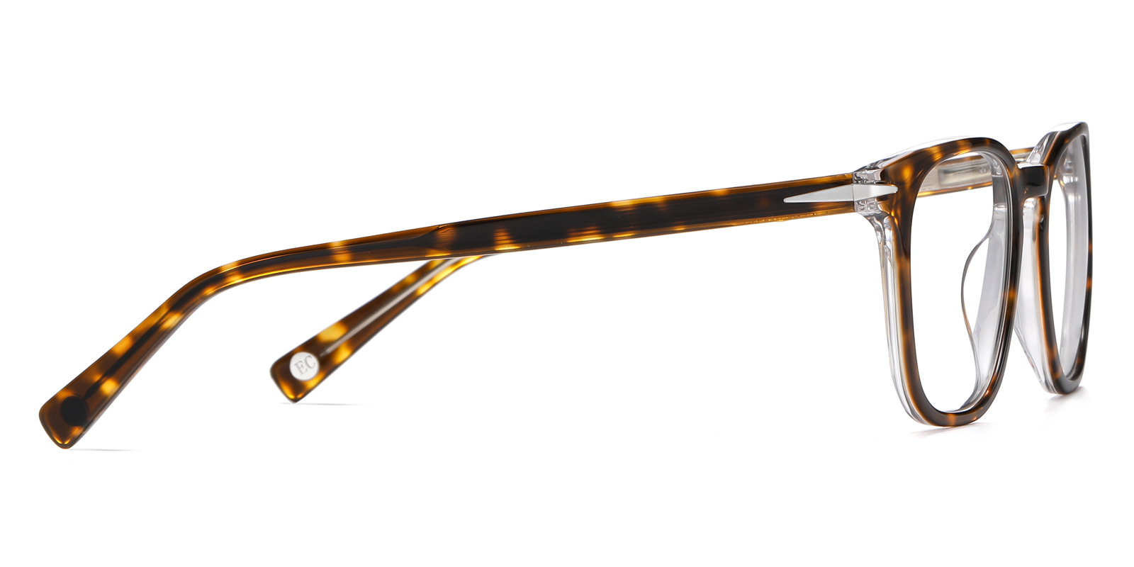 8896TO-Gaise-tartaruga