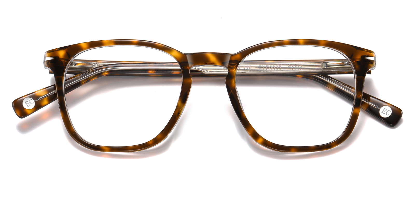 8896TO-Gaise-tartaruga