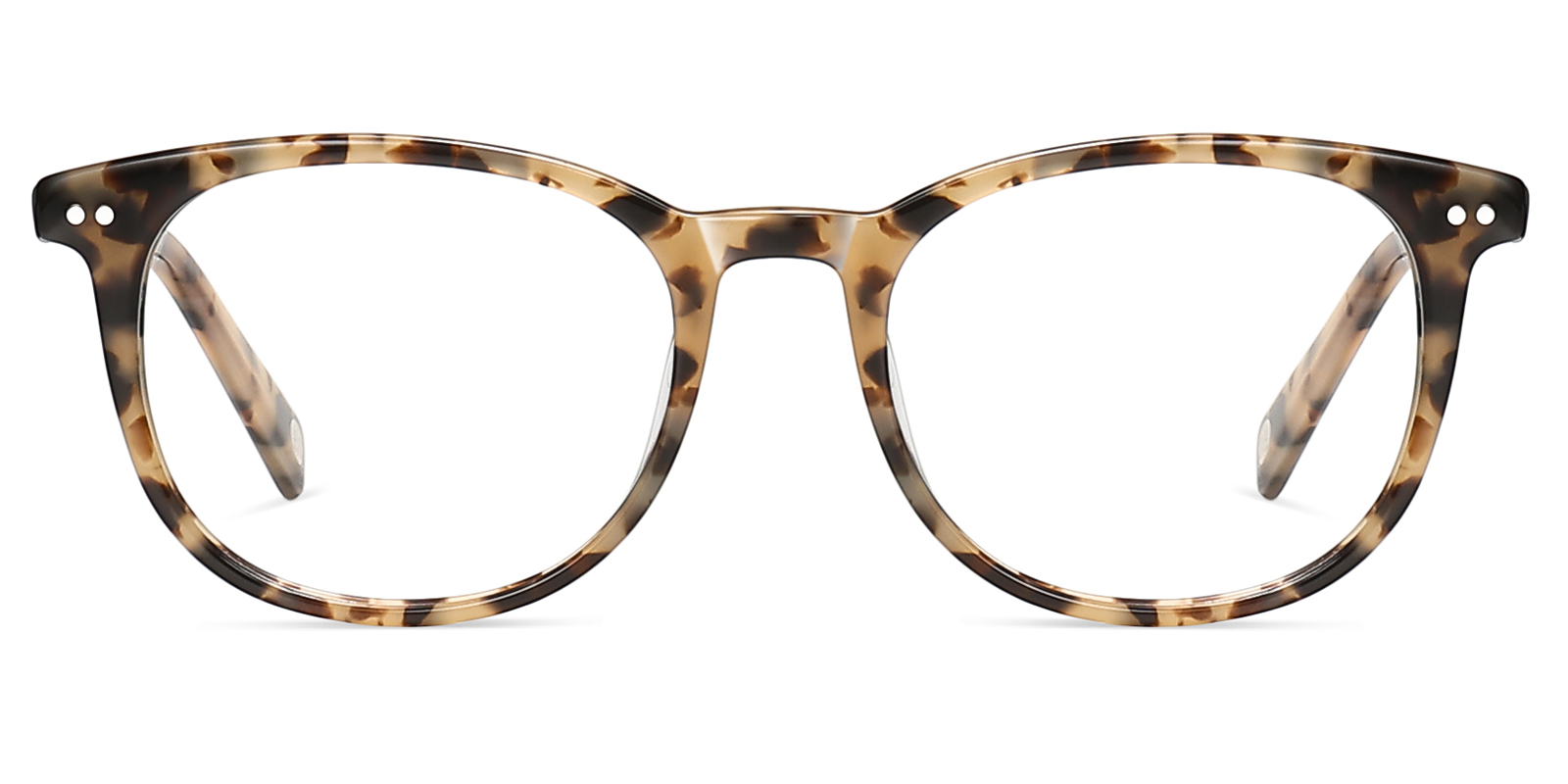 8991TL-Zuter-tartaruga