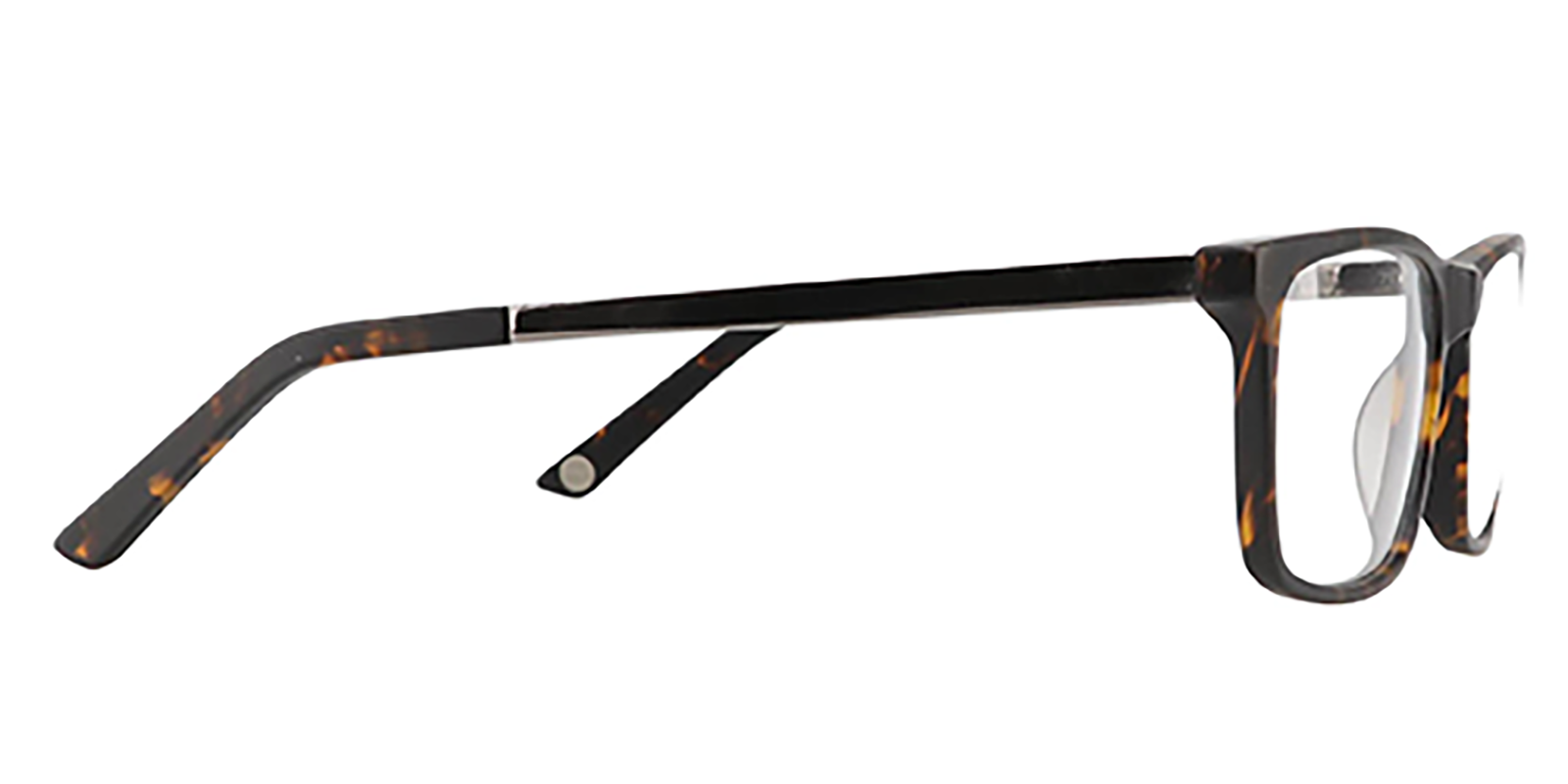 EYE8062-Bligh-tartaruga