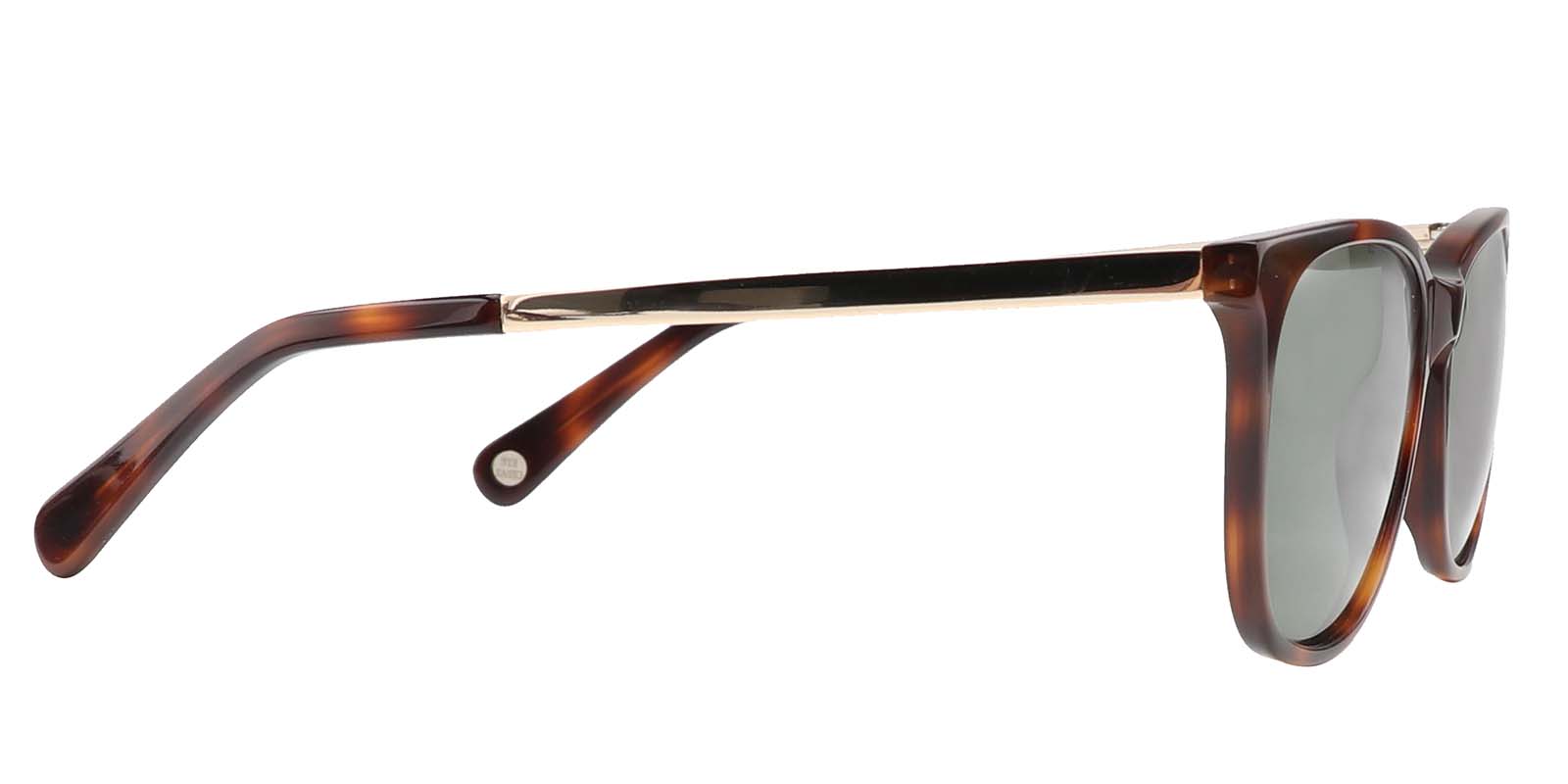 EYE8005-1S-Spolia-tartaruga