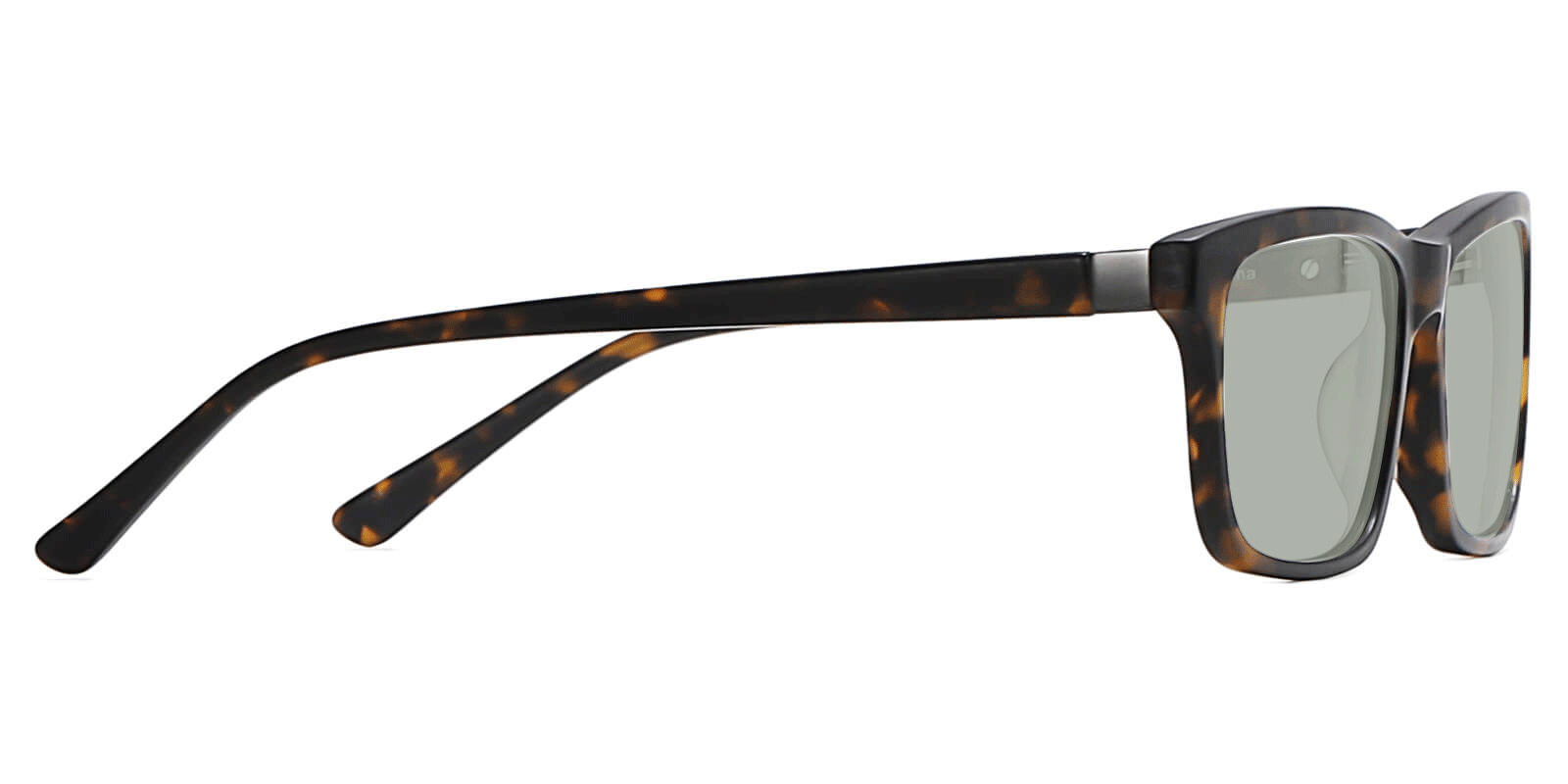 EYE8078S-Sunth-tartaruga